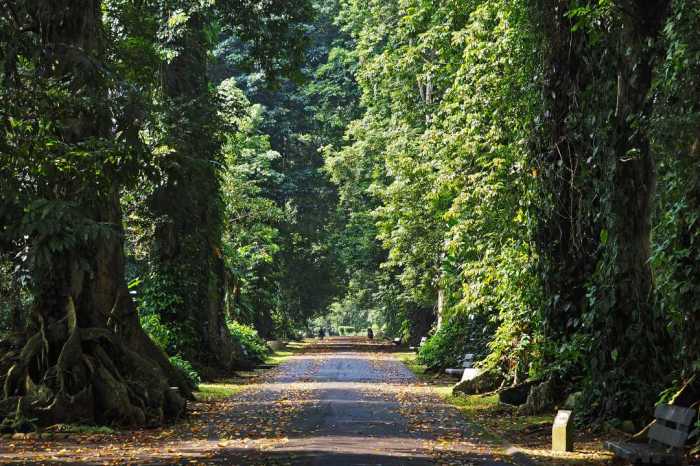 Bogor raya kebun wisata anak sejarah menarik fanatech