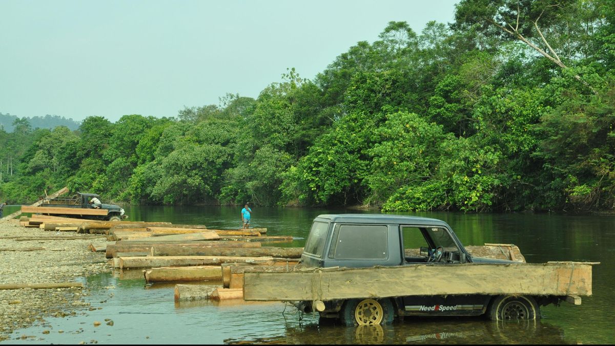 Aktivitas Penebangan Liar Ditemukan di Sungai Tamiang Aceh Menurut Bareskrim