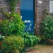 5 Cara Mendesain Taman Alergi yang Tetap Indah dengan Bunga