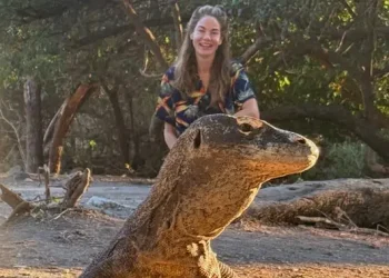 Michelle Monaghan Kembali Liburan ke Indonesia untuk Menelusuri Komodo