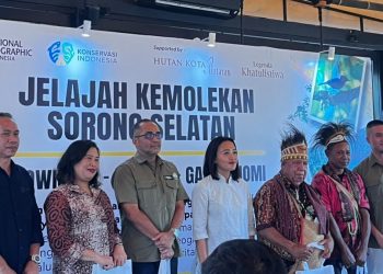 Jelajahi Sorong Selatan, Eksplorasi Keindahan Alam dan Kuliner dari Hutan