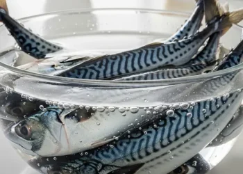 7 Cara Menghilangkan Bau Amis Ikan Sebelum Memasak Agar Bumbu Meresap Optimal