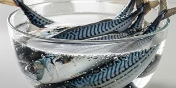 7 Cara Menghilangkan Bau Amis Ikan Sebelum Memasak Agar Bumbu Meresap Optimal